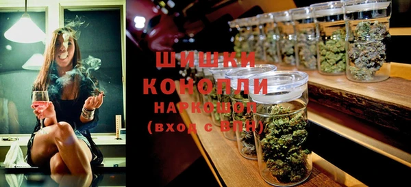 ПСИЛОЦИБИНОВЫЕ ГРИБЫ Корсаков