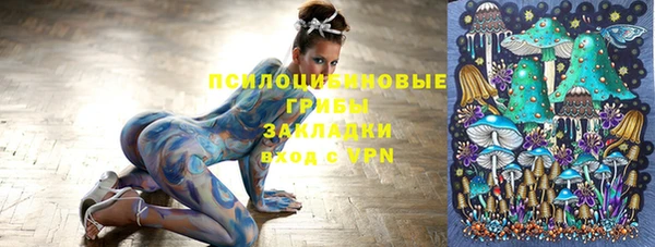 ECSTASY Кукмор