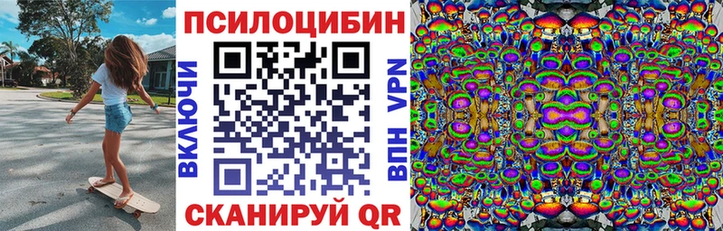 наркошоп  Курчалой  Псилоцибиновые грибы MAGIC MUSHROOMS 